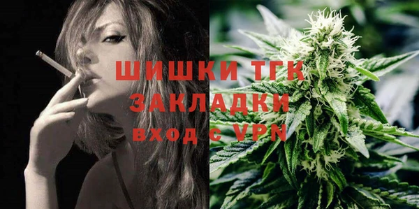 амф Козловка