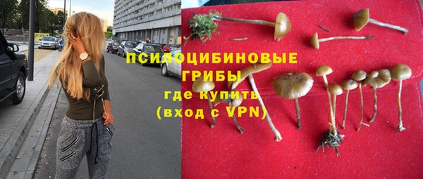 амф Козловка